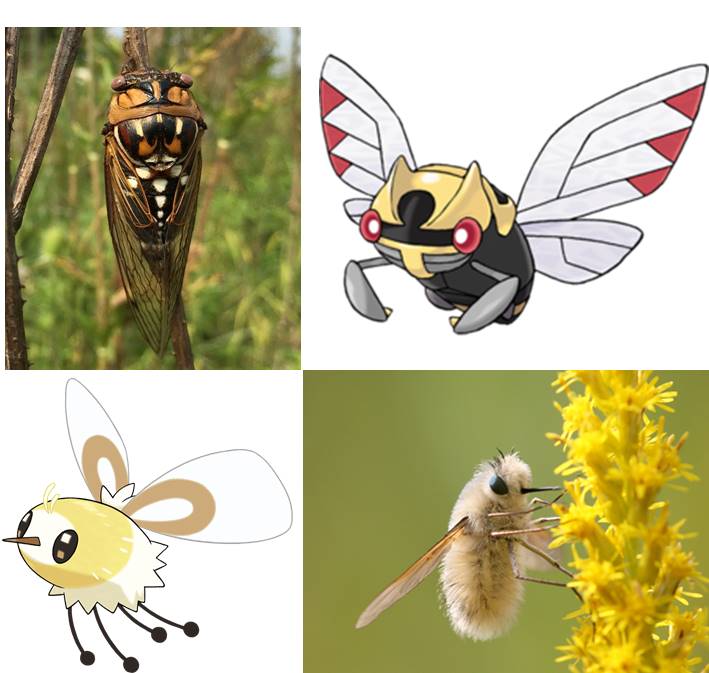 The entomological diversity of Pokémon