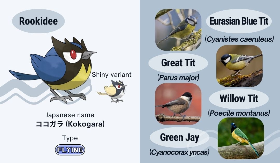 Pokémons pássaros são tipo: - iFunny Brazil