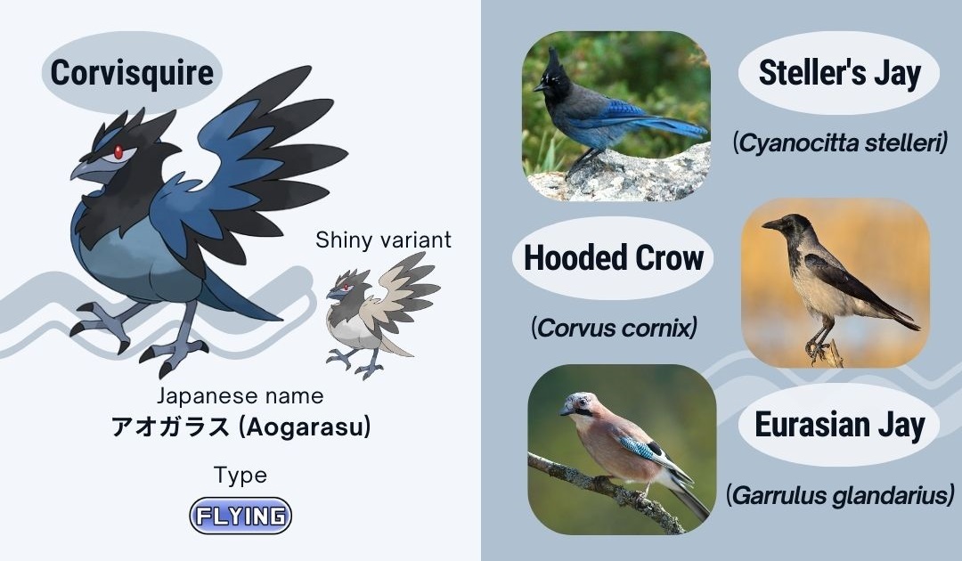 Honchkrow Murkrow Macaw Pokémon Bulbapedia, pokemon, vertebrate