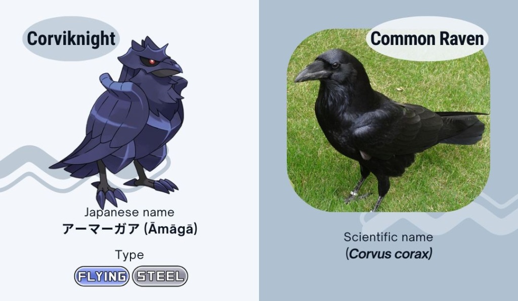 Dark wings, bright insights: a comprehensive analysis of corvid species in Pokémon games